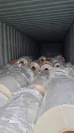 36 Mic Polyester Film